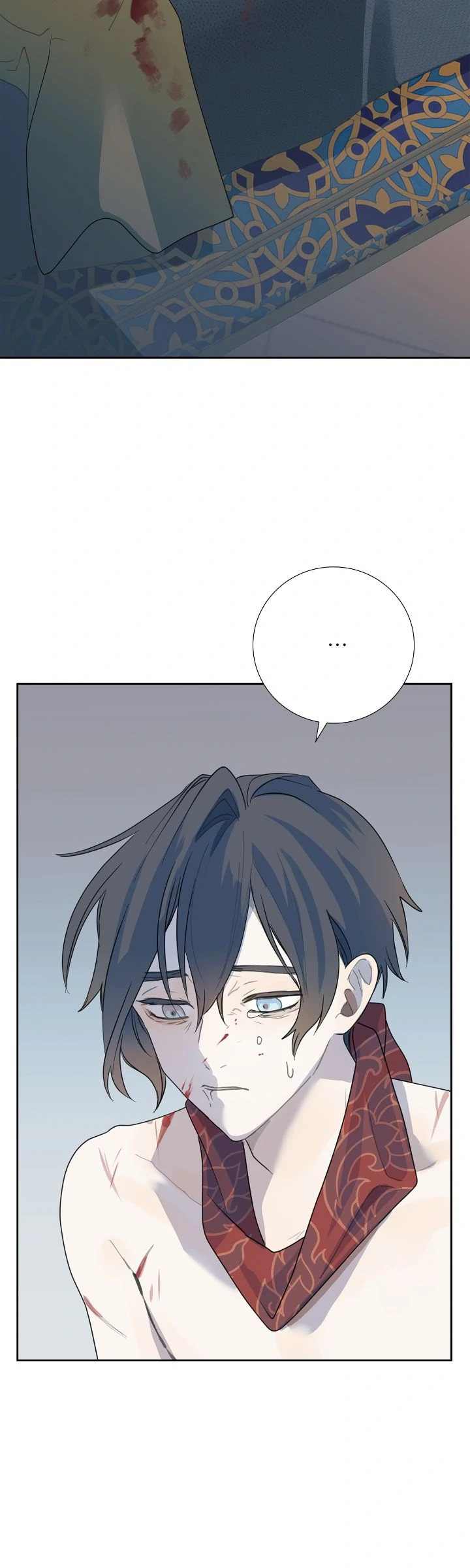 83280292 720 2400 107364